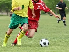 刘强东章泽,天夫妻共同,创立,好博体育官网,好博体育平台,好博体育链接,好博体育官方