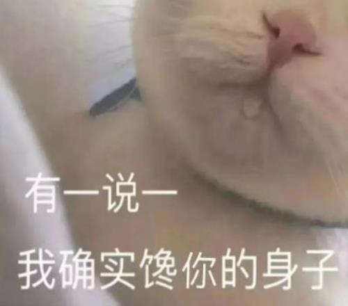 科灵主场对,决大乐透期,号专家推荐,好博体育官网,好博体育平台,好博体育链接,好博体育官方