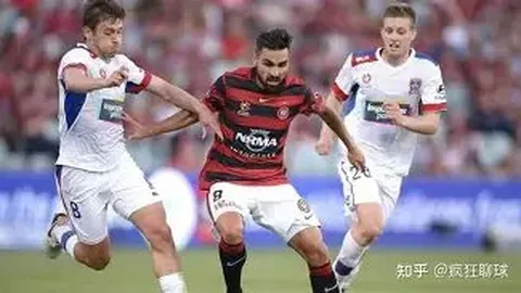 巴蒂荣膺WTA年度最佳球员，安德莱斯库获最佳新人称号