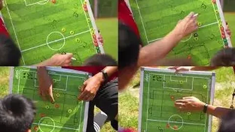 好博体育 资讯 141730 7ha