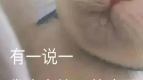 科灵主场对决大乐透期号专家推荐分析